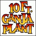 Pi 10Ft Ganja Plant