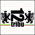 12Tribu6