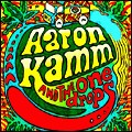Spi Aaron Kamm+The One Drops2