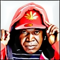 Pi Barrington Levy1