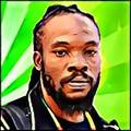 Bushman4_original