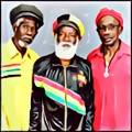 Abyssinians3_original